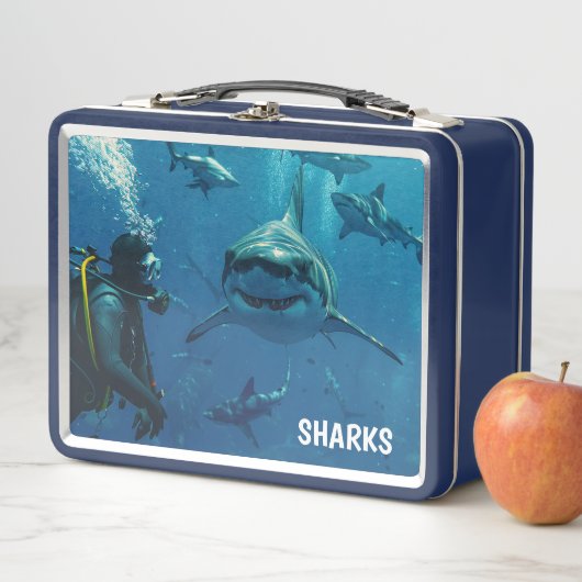 Lunch Box Boîte à lunch en métal requins (En situation)
