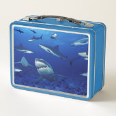 Lunch Box Boîte à lunch en métal requins (Dos)