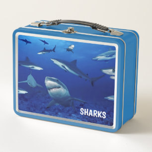 Lunch Box Boîte à lunch en métal requins