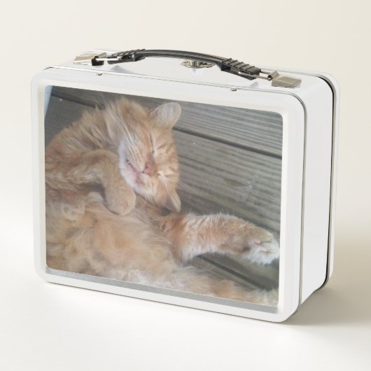 Lunch Box Boîte à lunch pour chat (Dos)