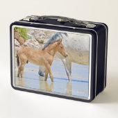 Lunch Box Boîte à lunch pour le poulain de cheval sauvage (Dos)