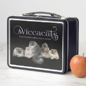 Lunch Box Boîte métallique WiccaCats (En situation)