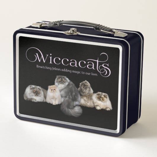 Lunch Box Boîte métallique WiccaCats (Devant)