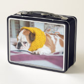 Lunch Box Bouledogue anglais des images | de Getty (Dos)
