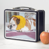 Lunch Box Bouledogue anglais des images | de Getty (En situation)
