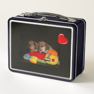 Lunch Box Bouledogue français chiots mignons Bouledogue fran