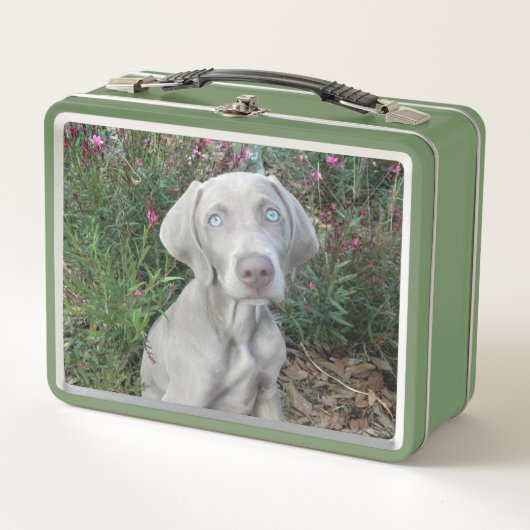 Lunch Box Brooklyn le chien Weimaraner (Devant)
