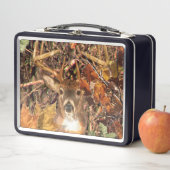 Lunch Box Buck la saison d'automne White Tail Deer (En situation)