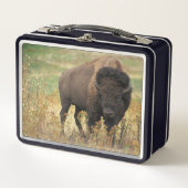 Lunch Box Buffalo (Devant)