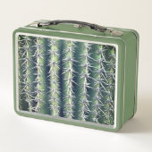 Lunch Box Cactus (Dos)