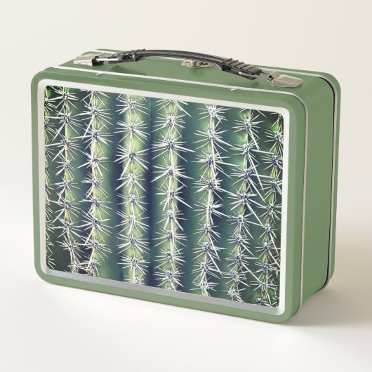 Lunch Box Cactus (Dos)
