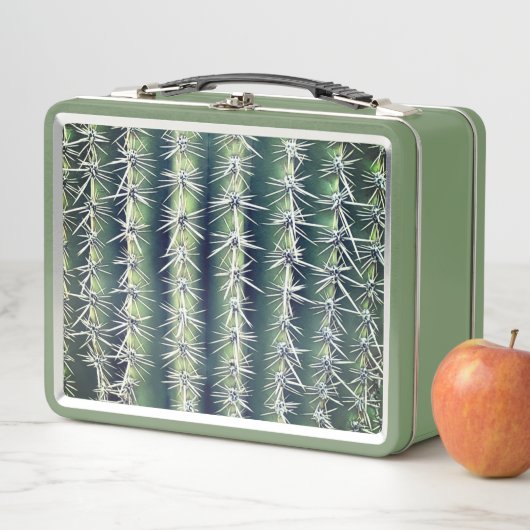 Lunch Box Cactus (En situation)