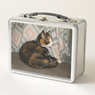 Lunch Box Callie Cat sur Sofa
