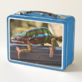 Lunch Box Caméléon magnifique (Dos)