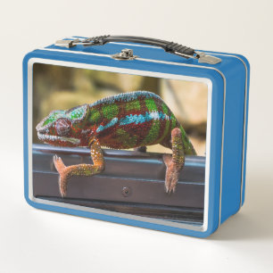 Lunch Box Caméléon magnifique