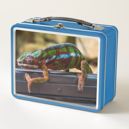 Lunch Box Caméléon magnifique (Devant)