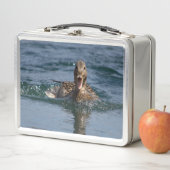 Lunch Box Canard avec bec ouvert (En situation)