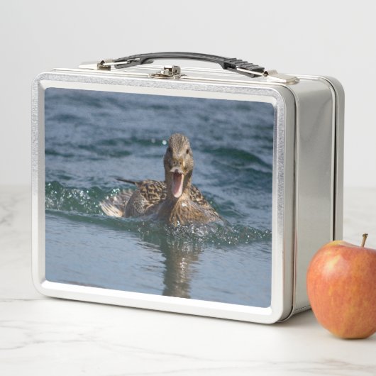 Lunch Box Canard avec bec ouvert (En situation)