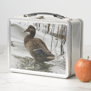 Lunch Box Canard gris sur la nuit du lac