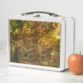 Lunch Box Canopée des Feuilles d'automne II Photographie d'a (En situation)