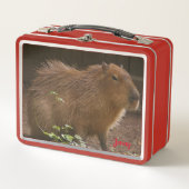 Lunch Box Capybara (Devant)