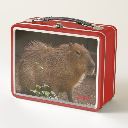 Lunch Box Capybara (Devant)