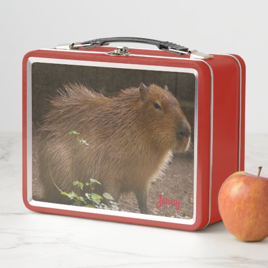 Lunch Box Capybara (En situation)