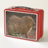 Lunch Box Capybara (Dos)