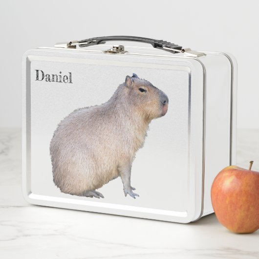 Lunch Box Capybara (En situation)