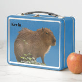 Lunch Box Capybara (En situation)