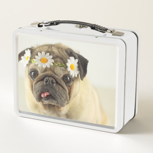 Lunch Box Carlin avec couronne de marguerite (Dos)