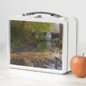Lunch Box Cascade automnale et Creek Pennsylvania Nature (En situation)