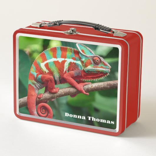 Lunch Box Chameleon (Devant)
