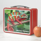 Lunch Box Chameleon (En situation)