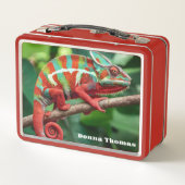 Lunch Box Chameleon (Dos)