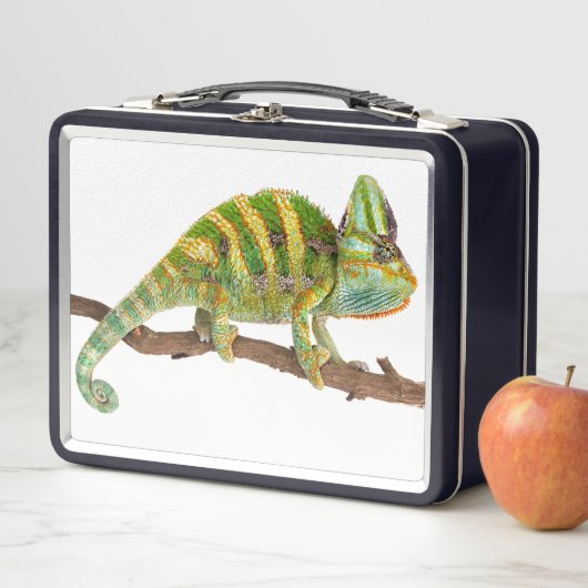 Lunch Box Chameleon (En situation)