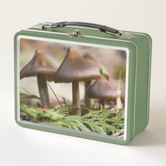 Lunch Box Champignons dans la forêt (Devant)