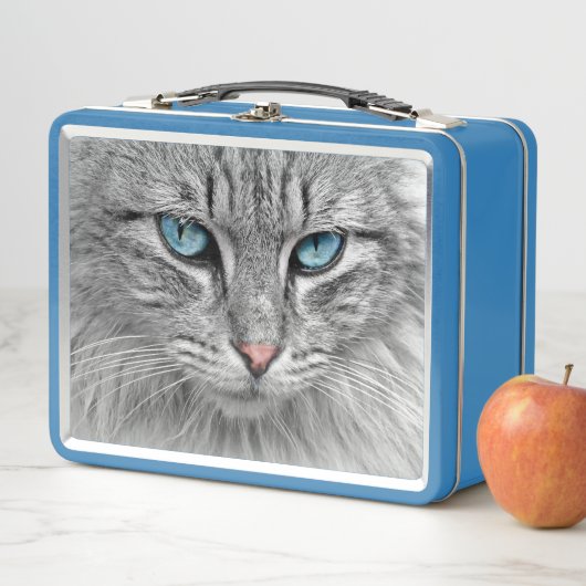 Lunch Box Charlie le chat (En situation)