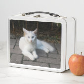 Lunch Box Chat blanc (En situation)