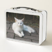 Lunch Box Chat blanc (Dos)