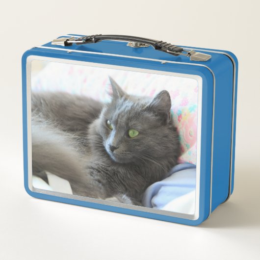 Lunch Box Chat de Nebelung (Dos)