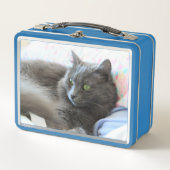 Lunch Box Chat de Nebelung (Devant)