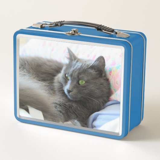 Lunch Box Chat de Nebelung (Devant)