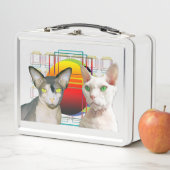 Lunch Box Chat Ninja Devon Rex Casper de Sphynx (En situation)