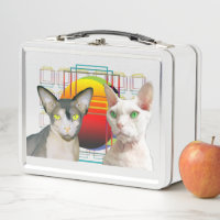 Chat Ninja Devon Rex Casper de Sphynx