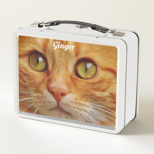 Lunch Box Chat roux (Dos)