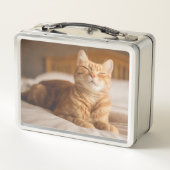 Lunch Box Chat somnolent des images | de Getty (Dos)