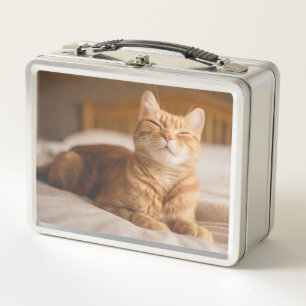 Lunch Box Chat somnolent des images   de Getty