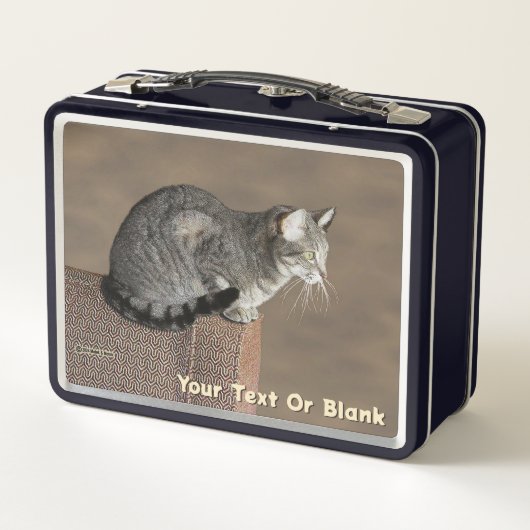 Lunch Box Chat Tabby Gris Fumé (Dos)