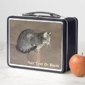 Lunch Box Chat Tabby Gris Fumé (En situation)